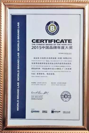 大自然獲木地板行業(yè)“中國品牌年度大獎No.1”.jpg