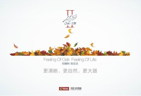 大自然地板“OAK II”相約順德，正式發(fā)布.jpg