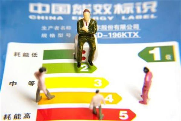 2016網(wǎng)銷應(yīng)顯著展示能效標(biāo)識