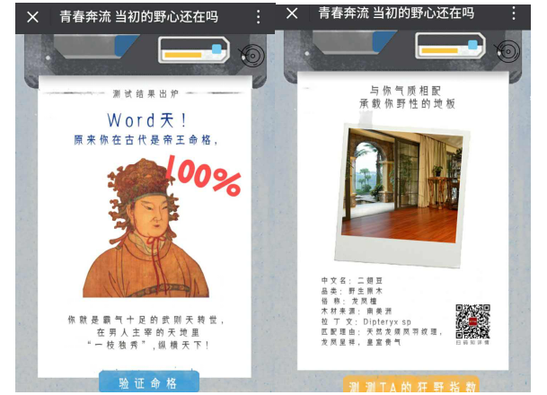 大自然野生原木二翅豆，它最匹配你的野心