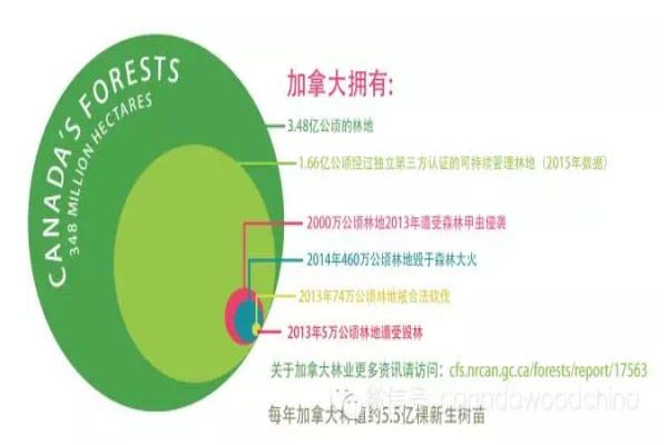 加拿大林業(yè)小知識(shí)